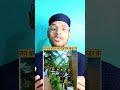 खजूर के बाग़ में बना ऐसा होटल, देखकर दंग रह जाओगे😲 | islamic video | #ytshorts #shortsvideo