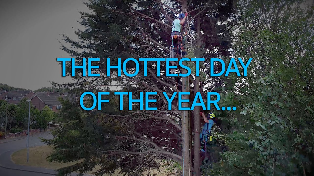Speedlining Speedlining Conifer on the Hottest Day Yet - YouTube