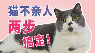 两步搞定猫咪不亲人,猫咪行为训练四 by 猫奴补习班 4,819 views 2 years ago 1 minute, 5 seconds