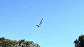 IMG 9890 IMG 9890