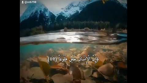القران الكريم القارئ عبدالله الموسى حالات واتس اب ❤️#عبدالله_الموسى