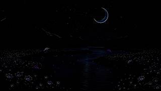(No Ads) Deep Sleep Reset - Brain Therapy &amp; Complete Body Healing While You Sleep