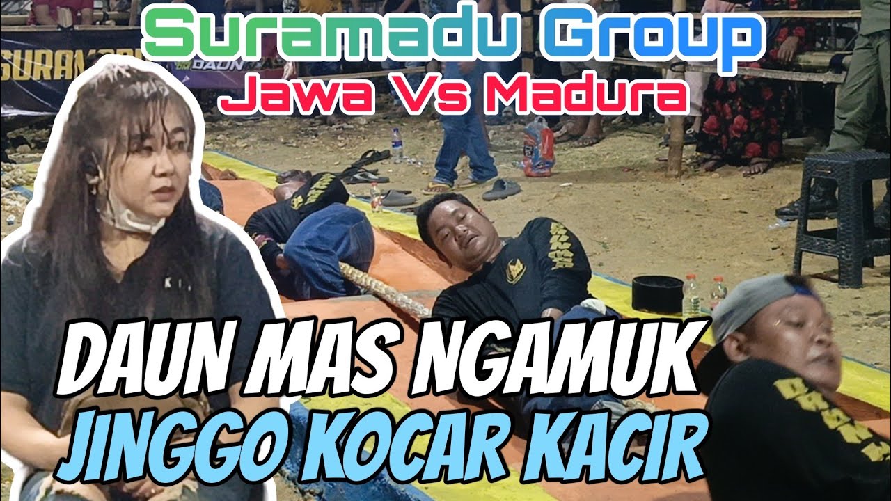 🔴LIVE JINGGO Kocar Kacir sama DAUN EMAS