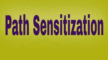 Path Sensitization|STM