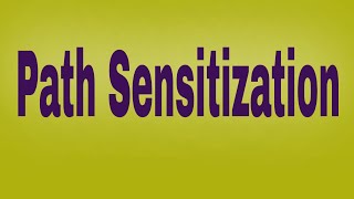 Path Sensitization|STM