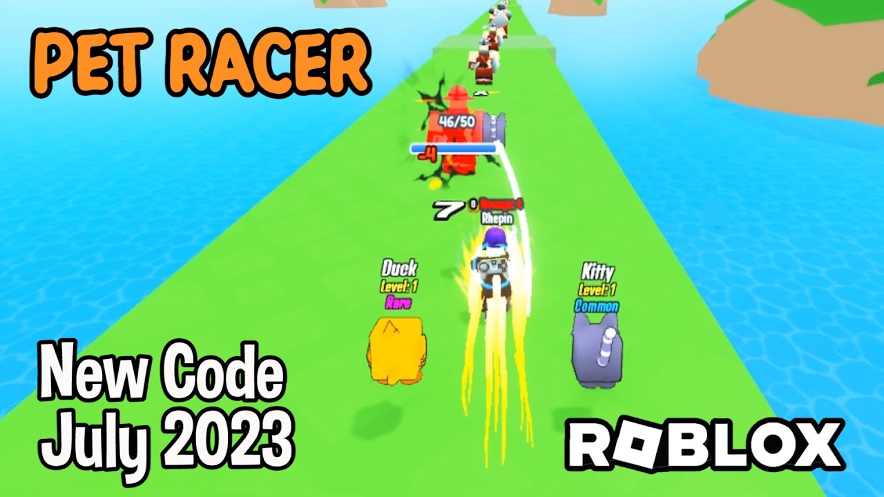 Pet racer