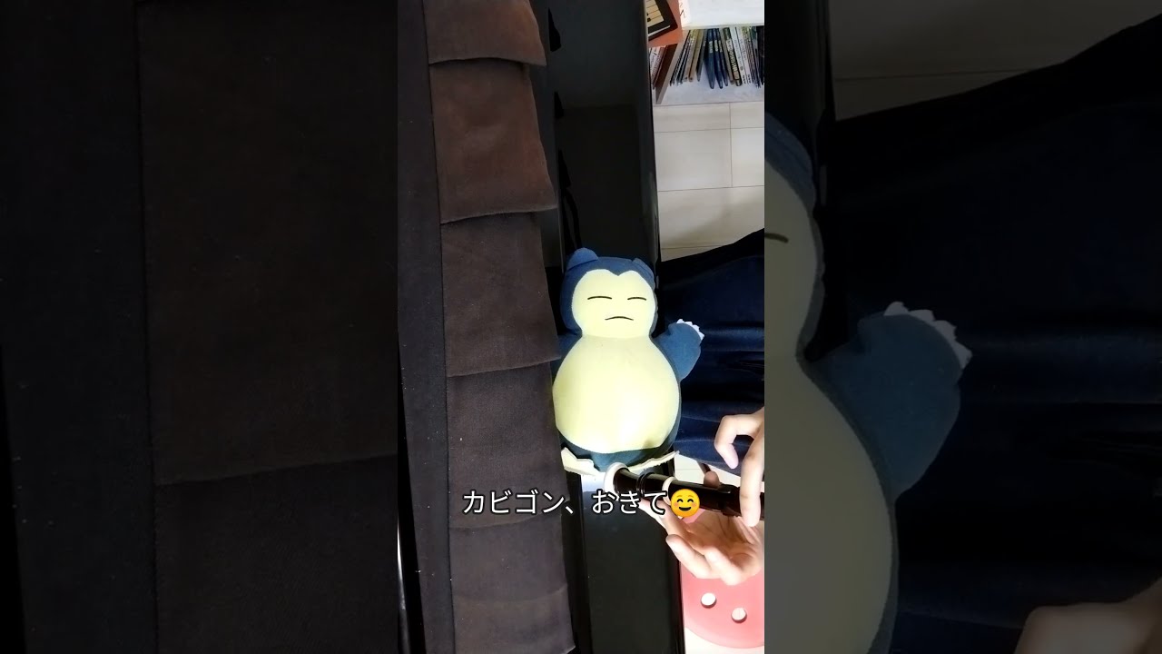 公式】ポケモンのふえ 〜プロジェクトカビゴンスペシャル