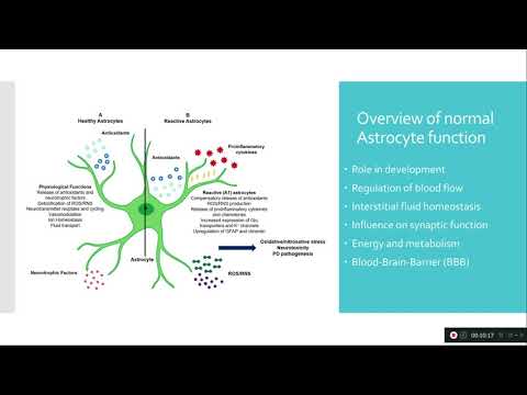 Video: Astrocyte - Slovník Lekárskych Pojmov