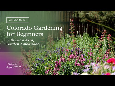 Video: Høj-højde havearbejde: Sådan dyrkes en bjerghave