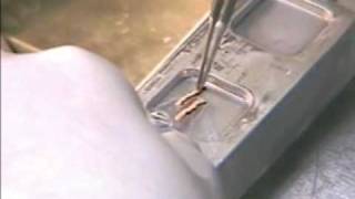 Precisely Flat Technique for Frozen Tissue Sectioning