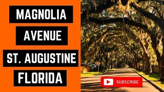 FAMOUS Magnolia Avenue in St. Augustine, Florida