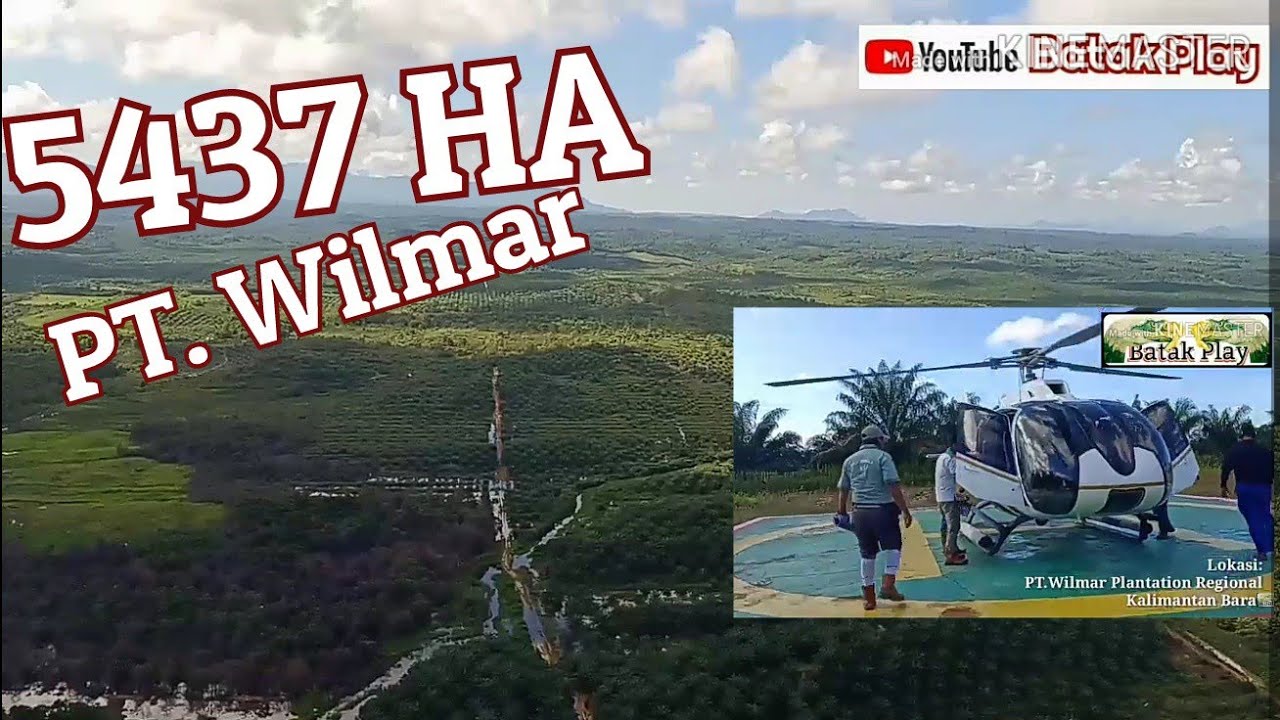Perkebunan Sawit Kalimantan Barat | PT. Wilmar |Part II|