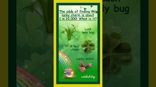 Boost Your Luck With St Patrick s Day Trivia Don t Miss Out