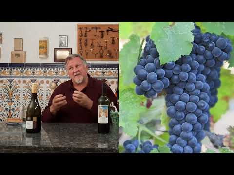 Video: Wat is drogere cabernet of merlot?