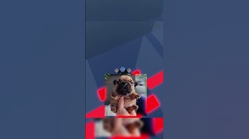 Using your comments to make a roblox game 🔨  Ep. 4