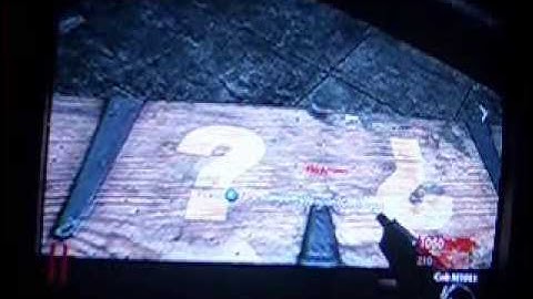 CoD World At War Nazi Zombie Glitches