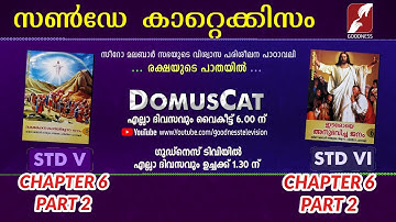 DOMUS CAT | STD 5 & 6 | പാപികളെ തേടിവന്ന ഈശോ | CHAPTER 6 | PART 2 | SUNDAY CATECHISM