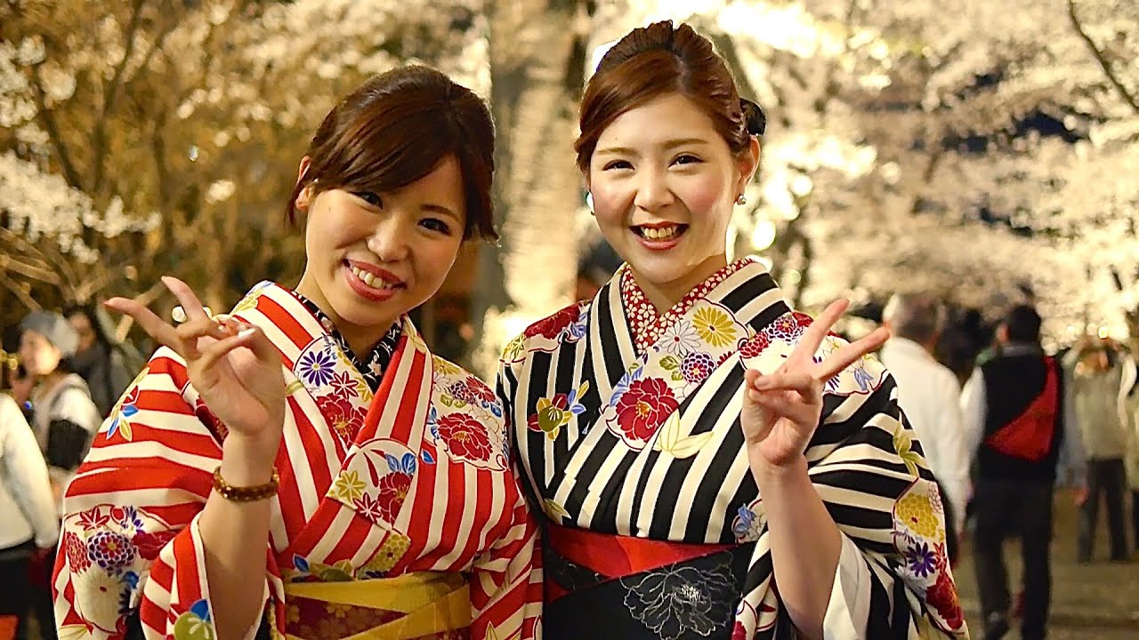 お花見 京都の桜 着物美人 夜桜見物 京都観光 Moments In Kyoto Ohanami Cherry Blossom Viewing Kyoto Japan Youtube