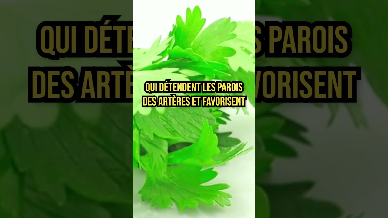 TENSION ARTÉRIELLE HAUTE ? Le CÉLERI, votre SOLUTION NATURELLE pour un CŒUR ZEN !