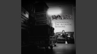 Miniatura del video "Bumpin Uglies - The Work (Acoustic)"