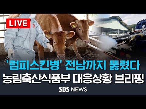 &amp;quot;럼피스킨병 다음 달까지 백신 접종 완료&amp;quot;..농림축산식품부 브리핑 / SBS