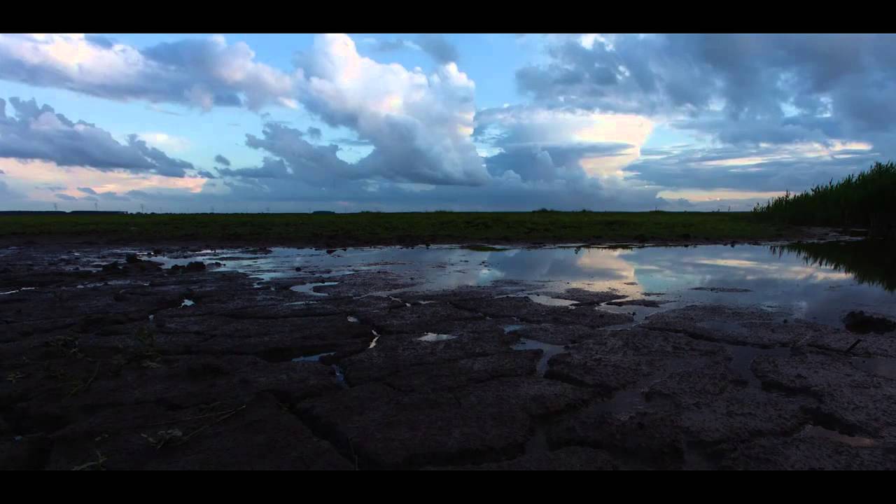 Watch Darkployers - Artefact (Original Mix) on YouTube Watch Darkployers - Artefact (Original Mix) on YouTube