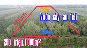 Bán vườn mít 2 mặt tiền đường, ven sông giá 200 triệu 1.000m² ở Tiền Giang - MS 3542