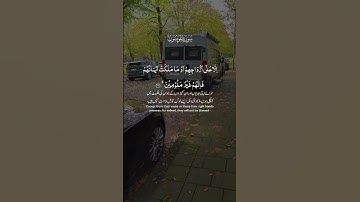 تلاوة عطرة لآيات من كتاب الله #foryou #راحة_نفسية #القرآن_الكريم #القرآن #المصحف #الله fyp#