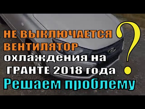 Видео на YouTube