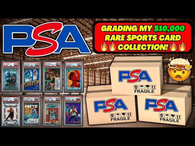 team bags for graded cards TCG Team bags (100 bags)