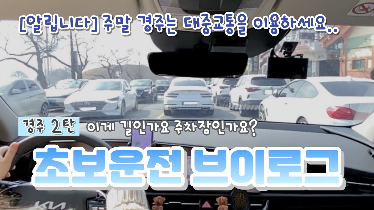 [초보운전 브이로그] 니로 | 경주 한복판에 덩그러니🥹 | 마트에서 전방주차 | 경주 폴콘, 다인매운등갈비찜