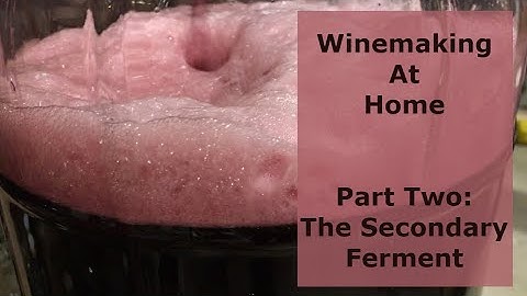 Winemaking at Home Part Two: The Secondary Ferment