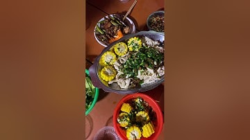 câu cá , cắm trại tại hồ đami 24/03/2023