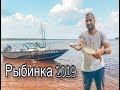 Рыбалка троллингом на Рыбинке. Брейтово 18+