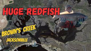 Huge Redfish |Browns Creek