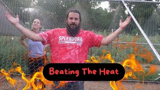 Keeping Chickens Cool: DIY Water Misting System for Hot Texas Weather