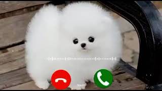 Enemies head PUBG Ringtone | Pubg Notification Ringtone | New Pubg Voice Message Ringtone |#Sms screenshot 5
