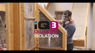 Lorigine De Lisolation En Cellulose Iq3