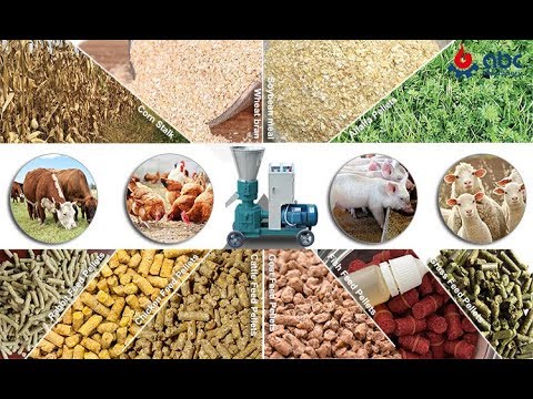 How to make feed pellets (animal feed pellet making machine) - YouTube