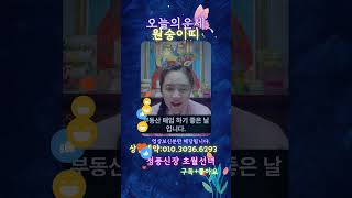 2025 오늘의운세  원숭이띠운세 행운색 + 띠별 로또번호 #오늘의운세 #8월운세 #청풍신장 #초월선녀 #띠…