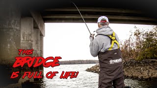 This Spot Held A Ton Of Fish On A Tough Day On Ky Lake