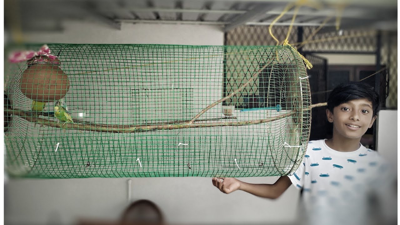 How to make love birds cage in Malayalam easy YouTube