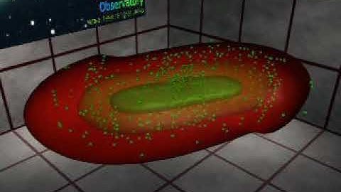 Model A Meridional Flow