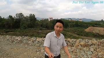 Quanh Co Đồi Vải Thiều Tại Vùng Cao Phong Vân , Tân Sơn Lục Ngạn I Nui Doi Luc Ngan 98