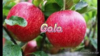 Top 9 Soiuri De Meri Buni Si Productivi Mere