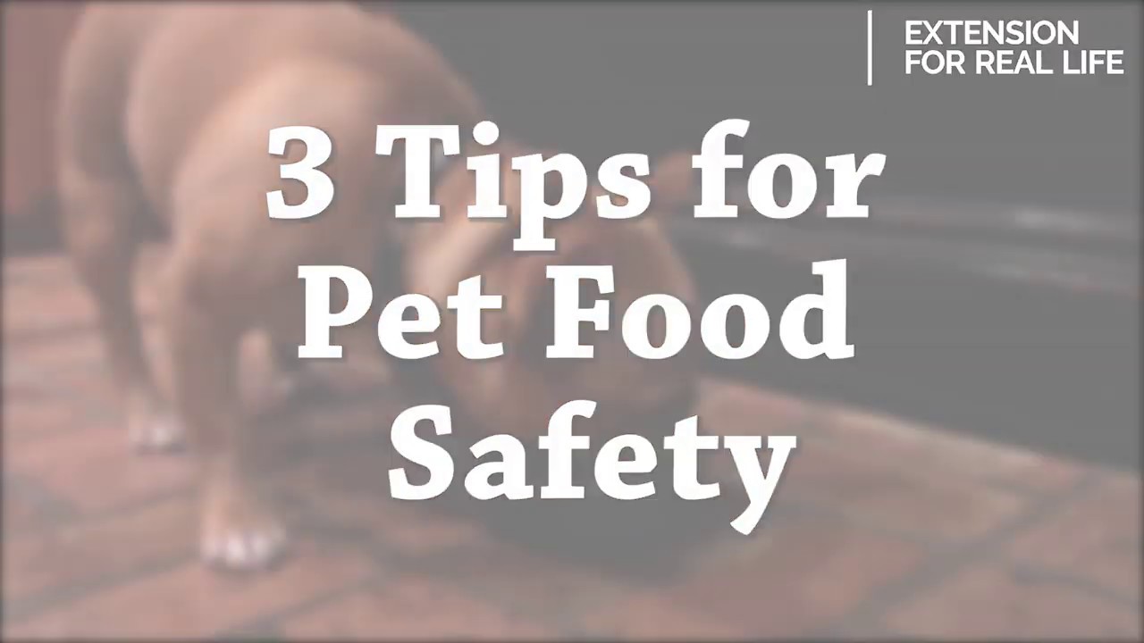 Pet Food Safety YouTube