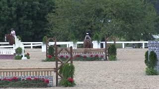Video of THE EXCEPTION ridden by CINDI ROBBINS from ShowNet! Net Worth