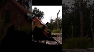 DRONE CRASH COMPILATION #drone #crash #explosion