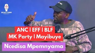Political Parties in South Africa Ncedisa Mpemnyama Break It Down podcast