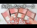 【初心者必見🔰】REVLONブラッシュデュオN全色レビュー